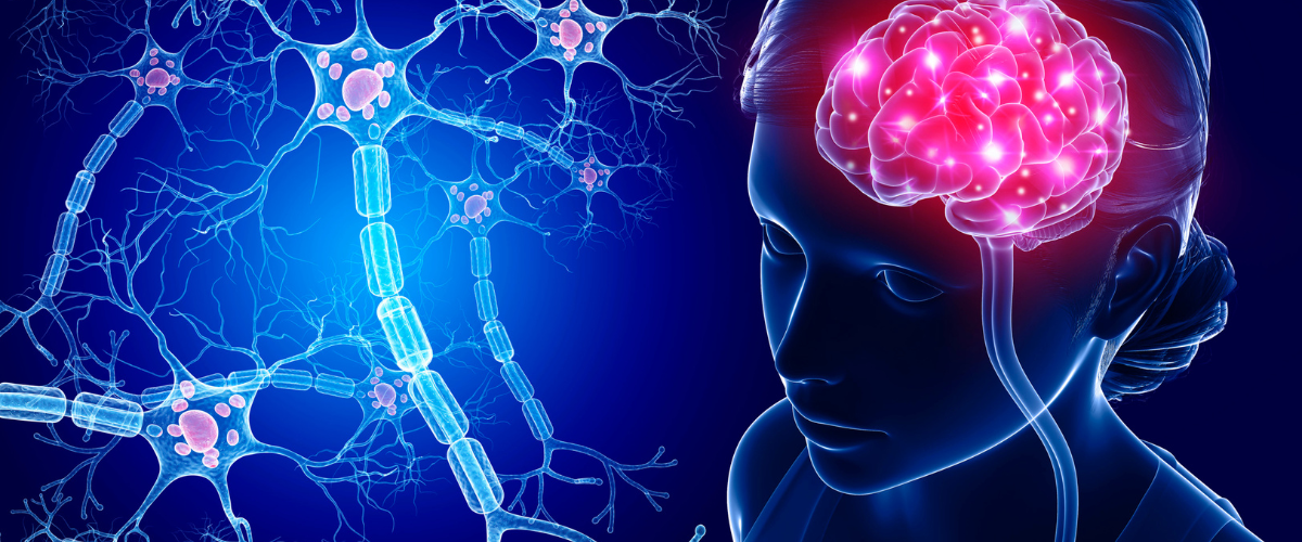 Micronutrients & the BloodBrain Barrier